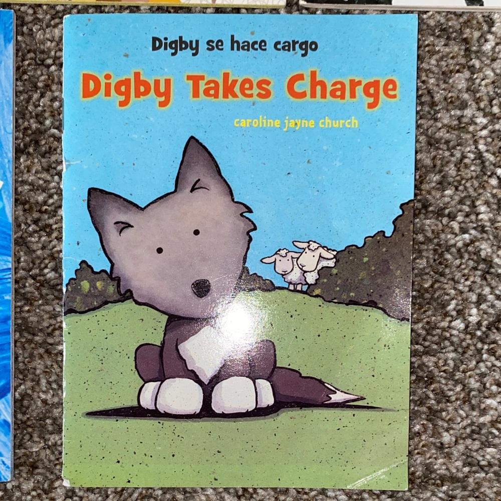 📚🖤 Spanish and English Children Book Set - Picture 6 of 6